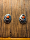 Bear Claw Shadow Box Studs